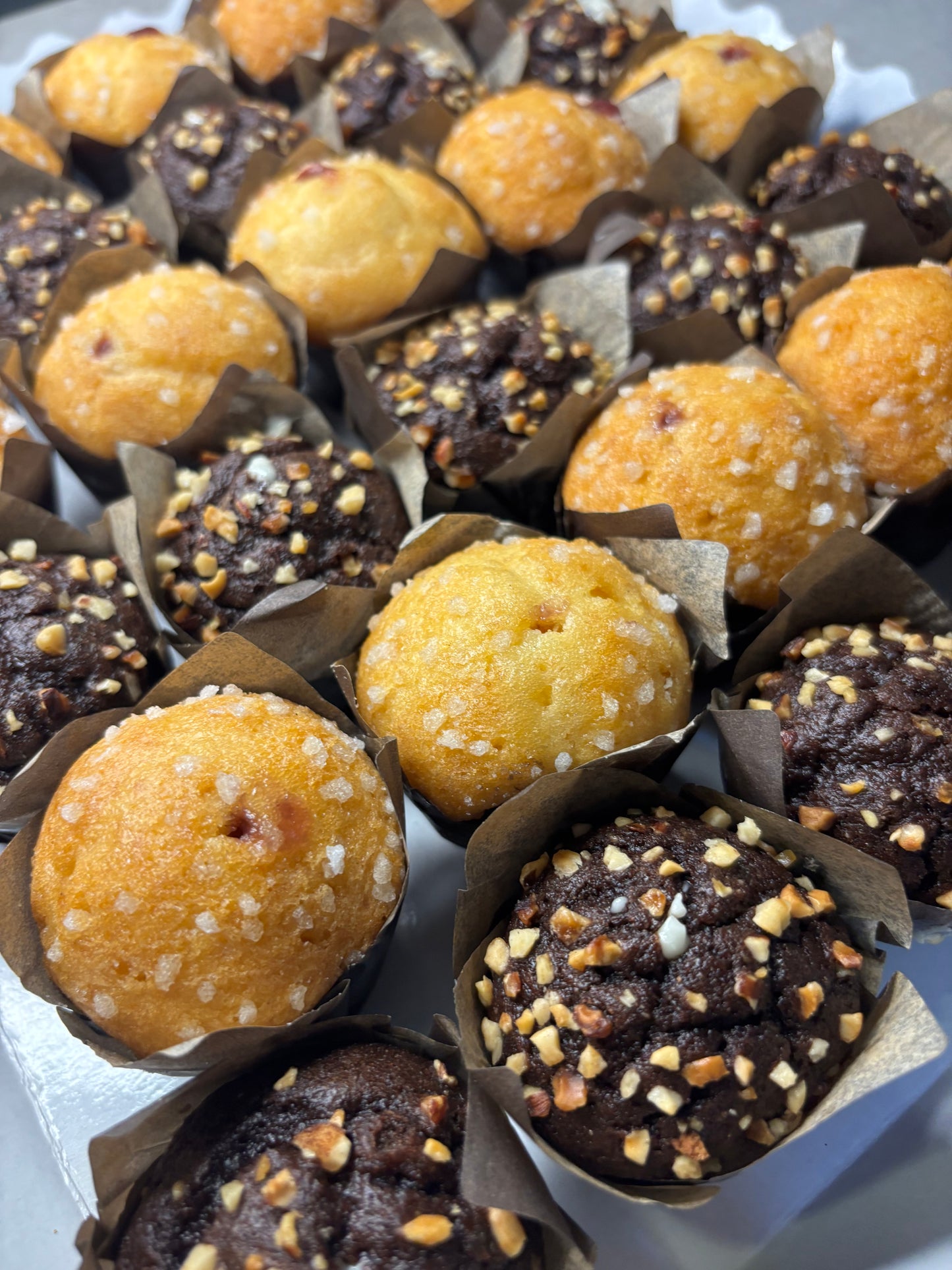 Catering Tulipas 30ud